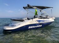 Barca Sea doo speedster 200