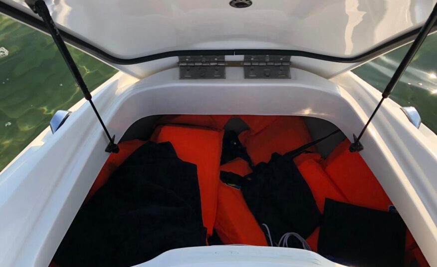Barca Sea doo speedster 200