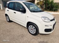 FIAT PANDA 1.2 69cv S&S E6d-Temp Pop