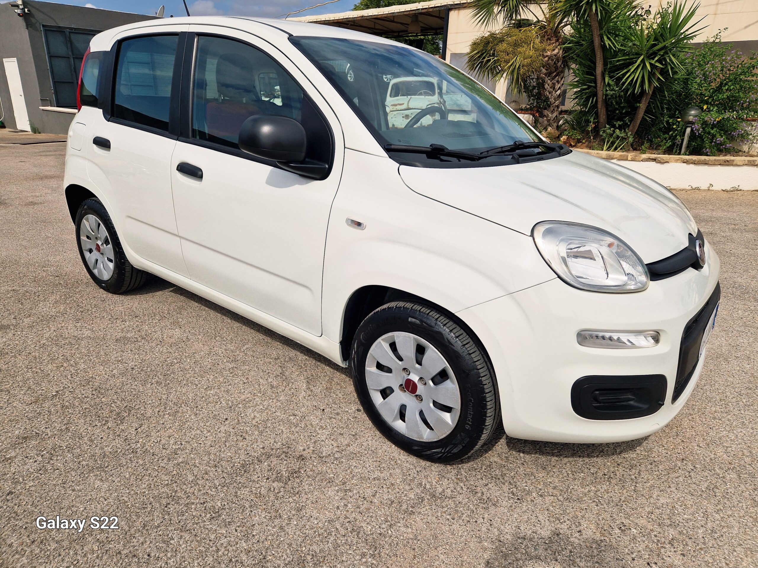 FIAT PANDA 1.2 69cv S&S E6d-Temp Pop