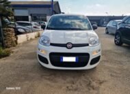 PANDA 1.2 69cv ​​S&S E6d-Temp Pop