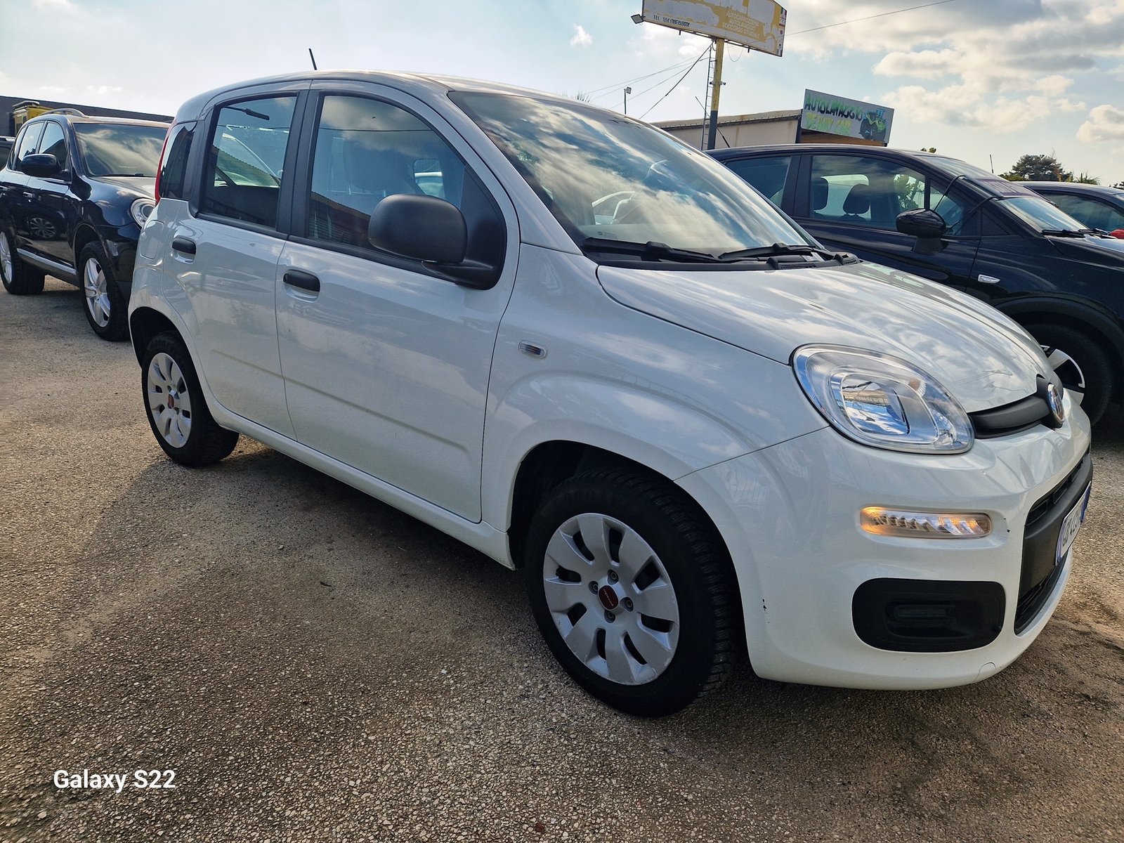 PANDA 1.2 69cv ​​S&S E6d-Temp Pop