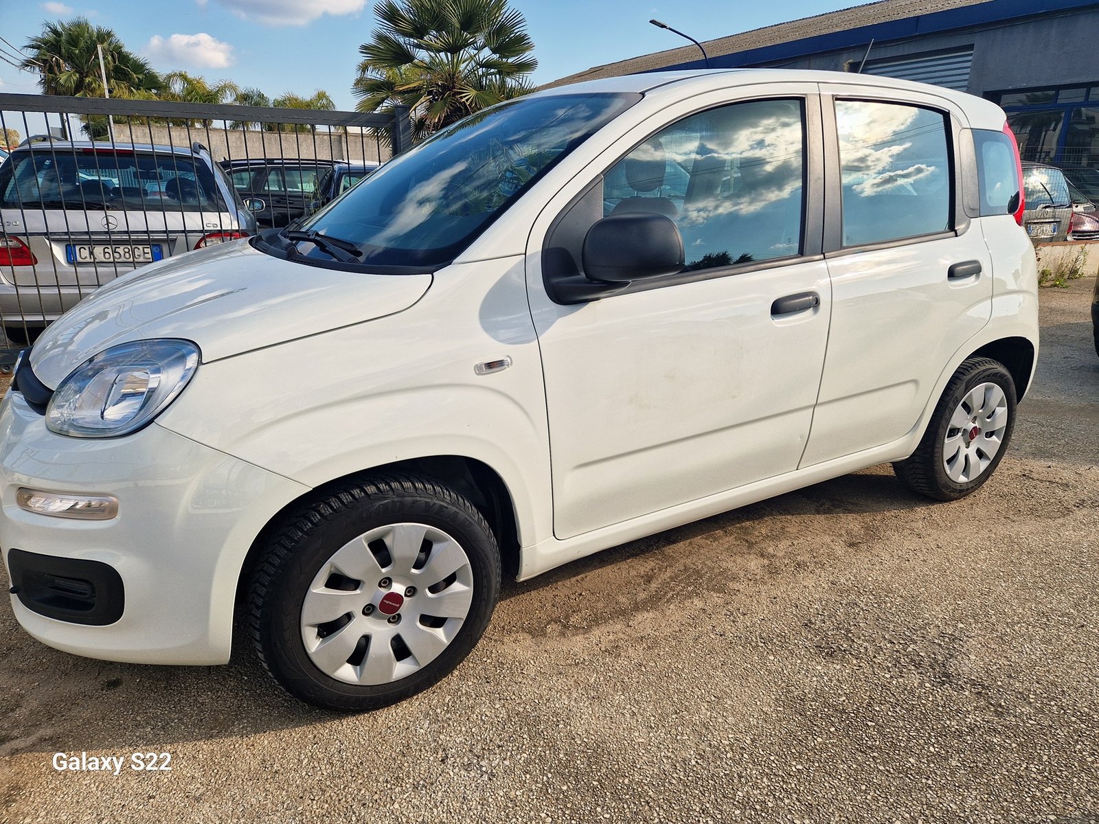 PANDA 1.2 69cv ​​S&S E6d-Temp Pop